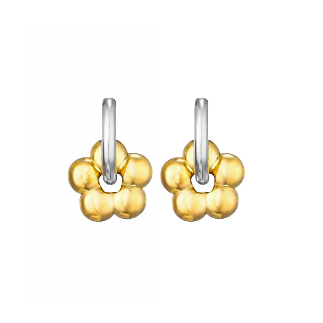 Miranda Hoops